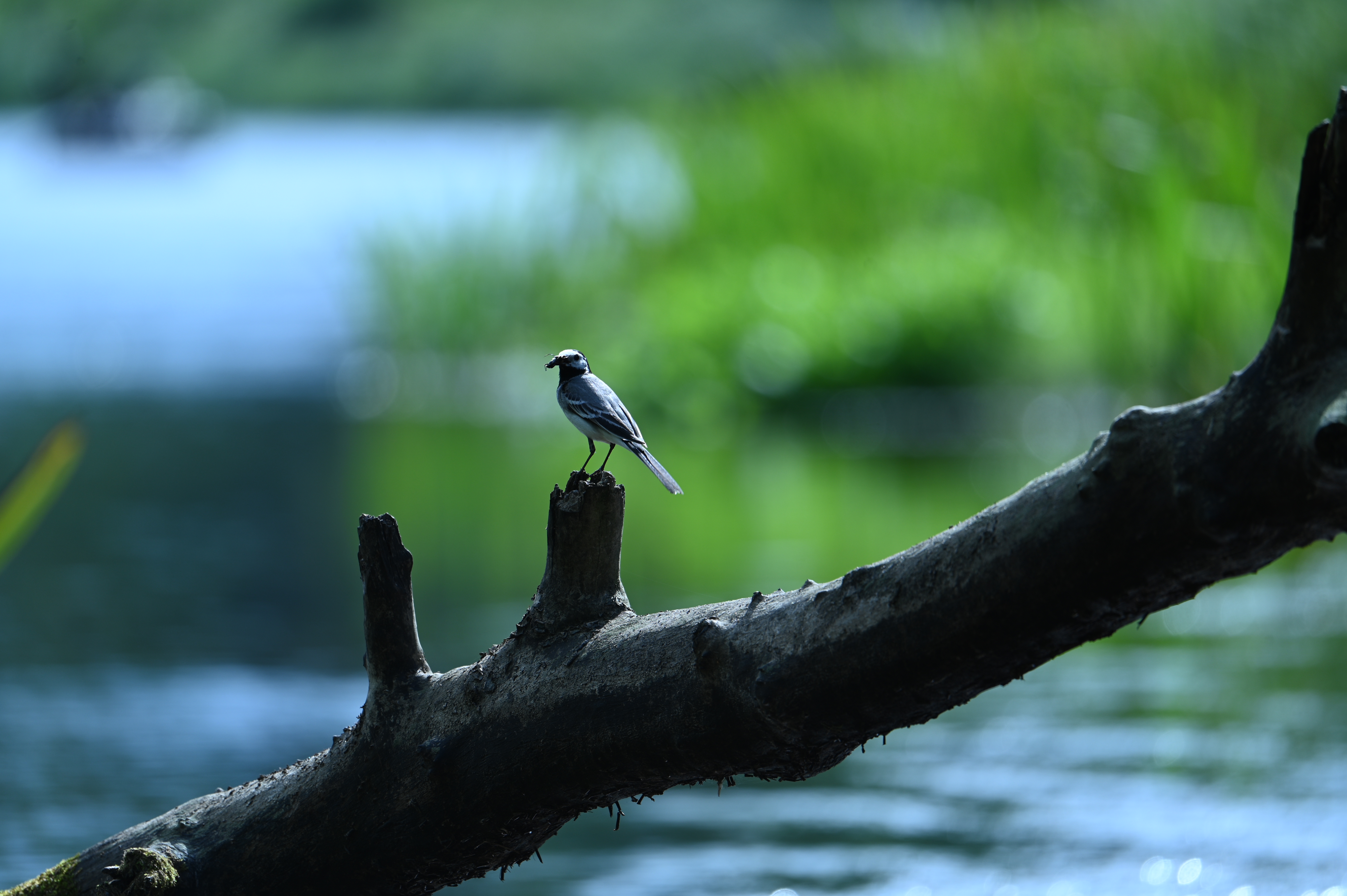 2025/07/09-14 - trip/DSC_0347.JPG